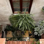 Santa Reparata Downtown