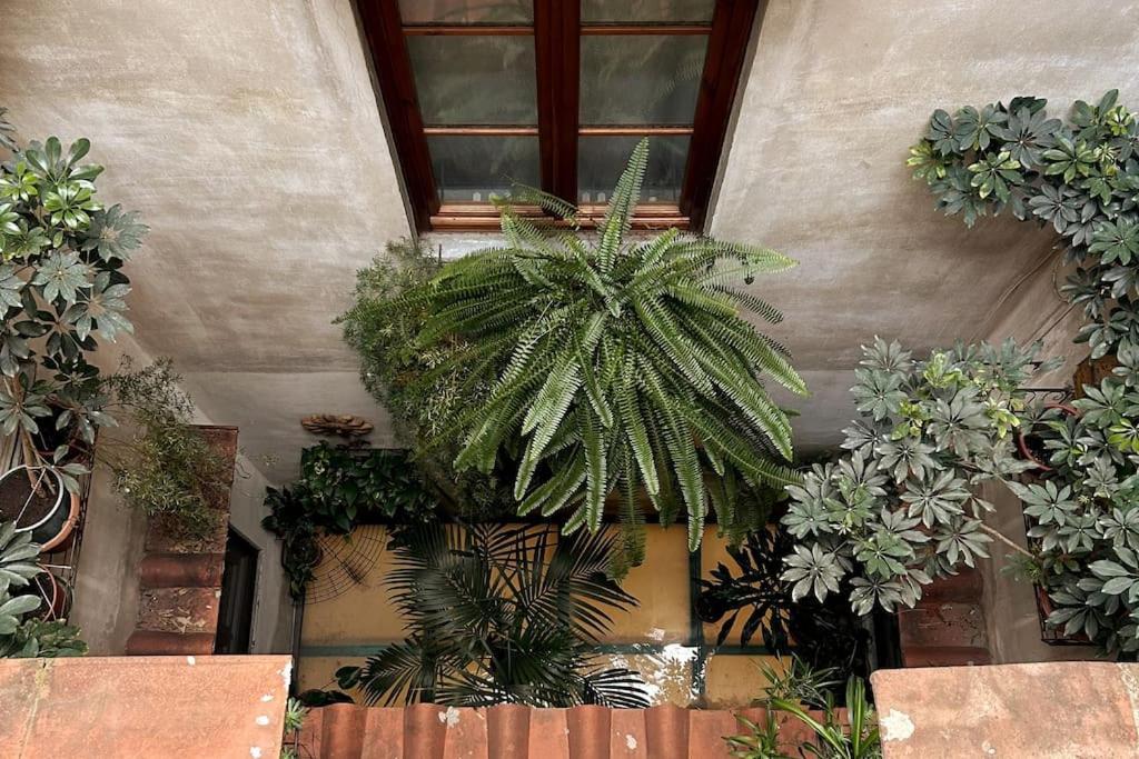 Apartamento Santa Reparata Downtown *